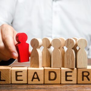 How DISC Profiling Transforms Leadership Approaches